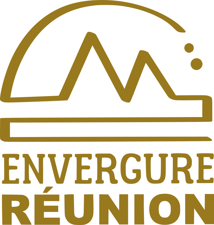 Envergure Réunion – activités canyoning, tunnel de lave et randonnée